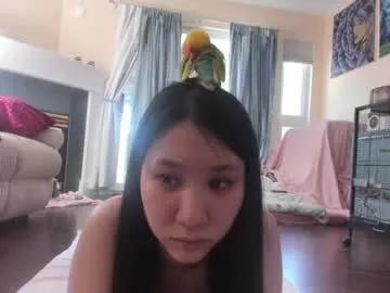alizezaide from Chaturbate is Freechat