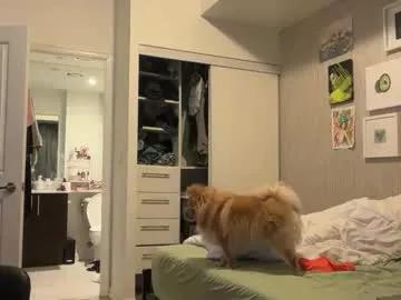 hotgirlbigbutt from Chaturbate is Freechat