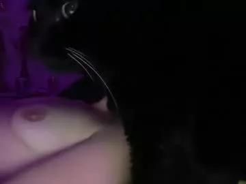 violetxvega from Chaturbate is Freechat