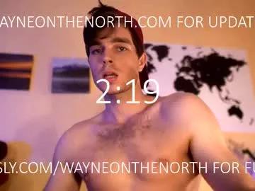 waynenorth from Chaturbate is Freechat
