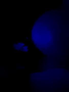 BoysONFireXXX from StripChat is Freechat