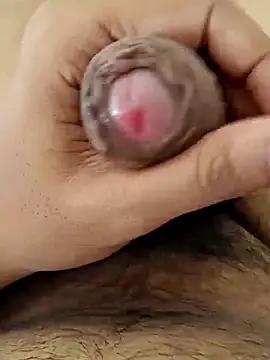 DragonFury1 from StripChat is Freechat