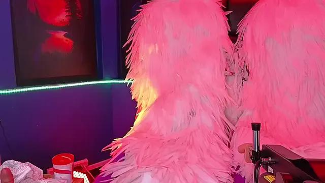 Girls and cam to cam: Watch as these sophisticated entertainers uncover their stunning costumes and curvaceous curves online!