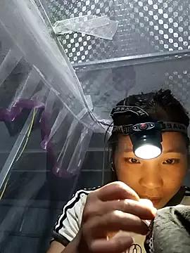 Evelyn-n from StripChat is Freechat