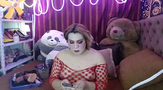 Girls and cam to cam: Watch as these sophisticated entertainers uncover their stunning costumes and curvaceous curves online!