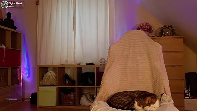 Girls and cam to cam: Watch as these sophisticated entertainers uncover their stunning costumes and curvaceous curves online!