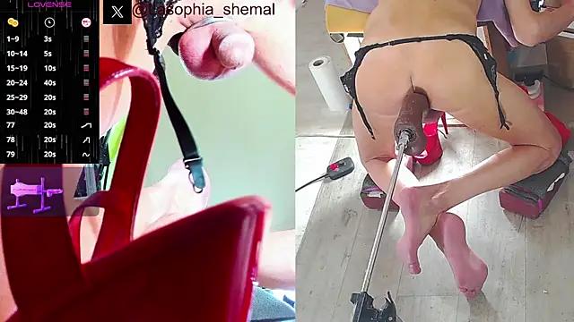 Girls and cam to cam: Watch as these sophisticated entertainers uncover their stunning costumes and curvaceous curves online!