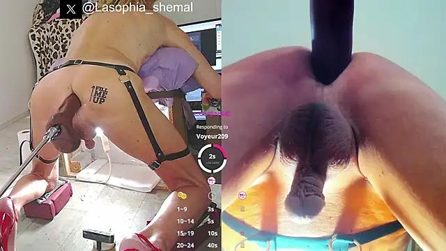 Girls and cam to cam: Watch as these sophisticated entertainers uncover their stunning costumes and curvaceous curves online!