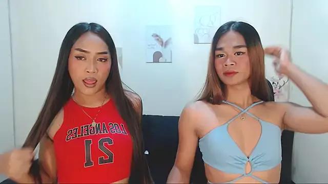 Girls and cam to cam: Watch as these sophisticated entertainers uncover their stunning costumes and curvaceous curves online!