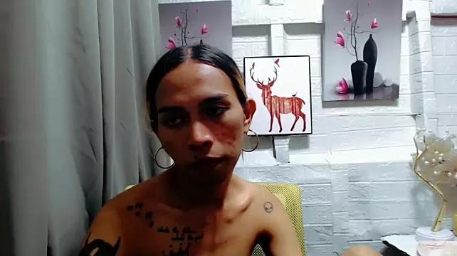 Girls and cam to cam: Watch as these sophisticated entertainers uncover their stunning costumes and curvaceous curves online!