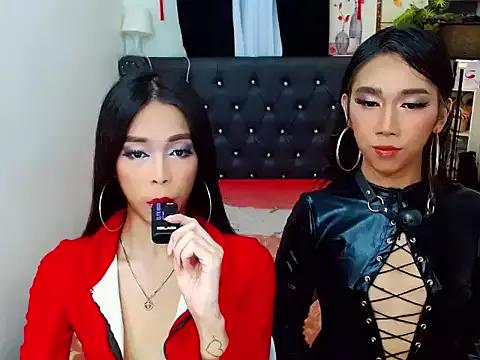 Girls and cam to cam: Watch as these sophisticated entertainers uncover their stunning costumes and curvaceous curves online!