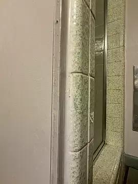 SergiaDIOR_TS from StripChat is Freechat