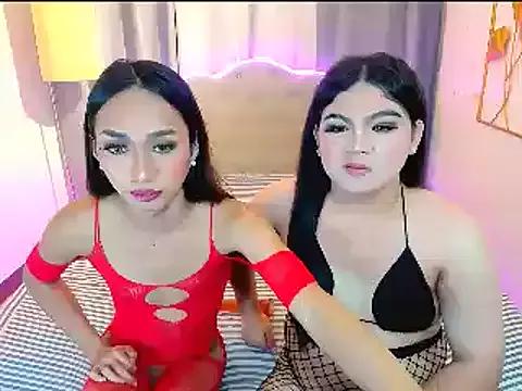 SexyChubbyTrans4you from StripChat is Freechat