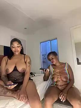 Girls and cam to cam: Watch as these sophisticated entertainers uncover their stunning costumes and curvaceous curves online!