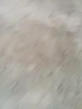 Shani_Izu from StripChat is Freechat
