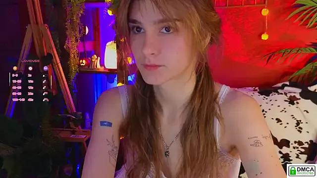 soft_animal_ from StripChat is Freechat