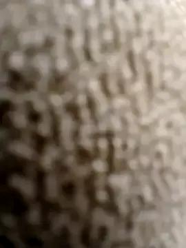 tami_lavanya from StripChat is Freechat