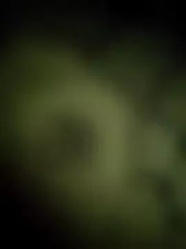 TELUGUPILLA143 from StripChat is Freechat