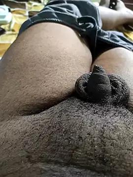 Tiny_dick_guy from StripChat is Freechat