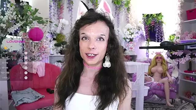 Girls and cam to cam: Watch as these sophisticated entertainers uncover their stunning costumes and curvaceous curves online!