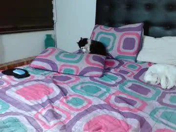 sweetyiris — GOAL: lick pussy  [370 tokens remaining] Latin Couple  Interactive Show  Lovense ON  69 live  Live every day  Goal: Fuck face hard  #pvt #brunette #glasses #lovense #facialcum